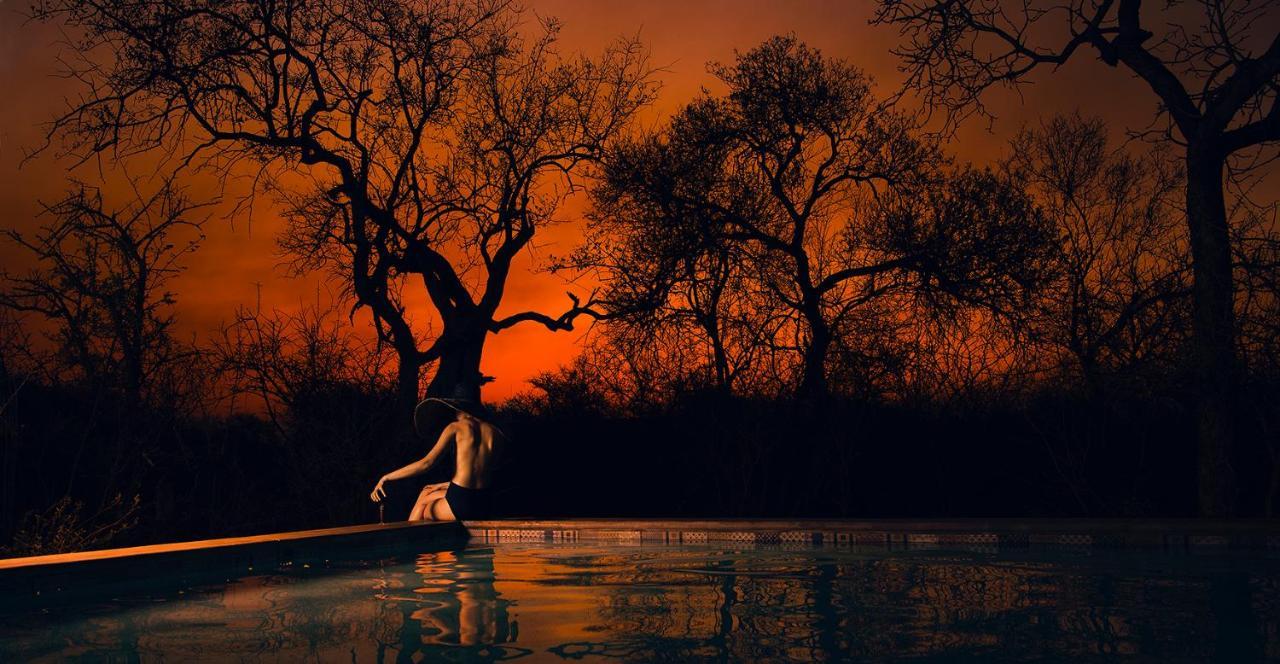 Safari Moon Luxury Bush Lodge Hoedspruit Ngoại thất bức ảnh